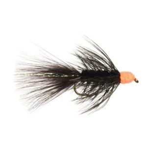 EGG-SUCKING LEECH FLIES
