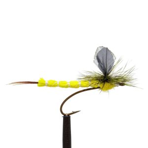 Feather Para Yellow