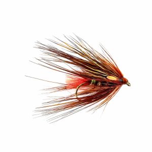 FIERY BROWN OCTOPUS