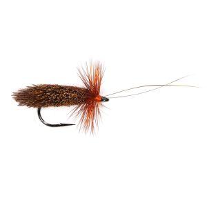 FIERY BROWN SEDGE (GODDARD)