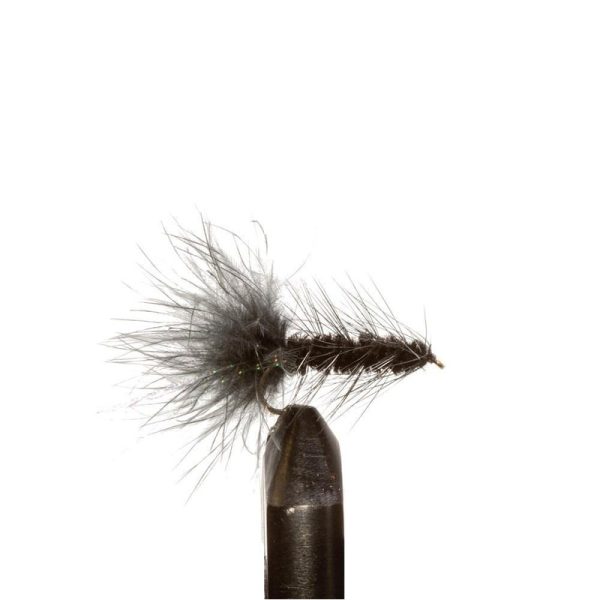 Flash Bugger Black