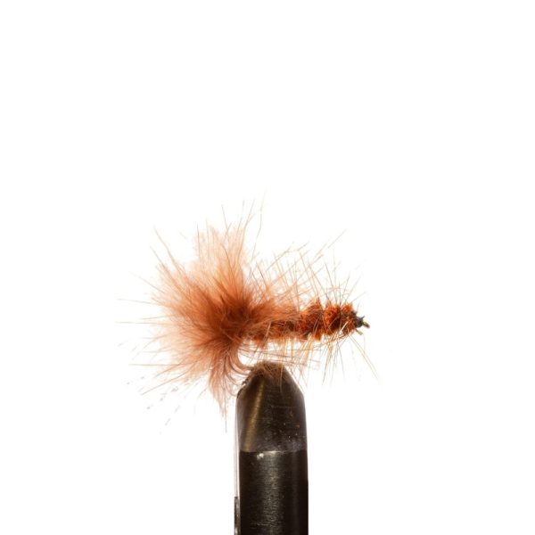 Flash Bugger Brown