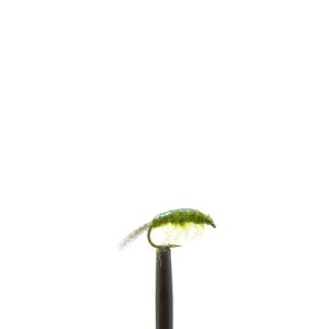 Flashback Scud – Olive