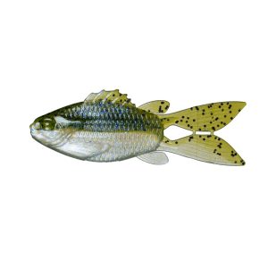 FlipGill – Watermelon Gill