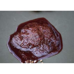 Frozen Bloodworm