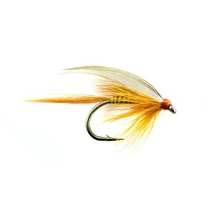 GINGER QUILL