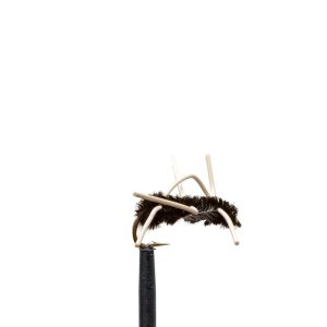 Girdle Bug
