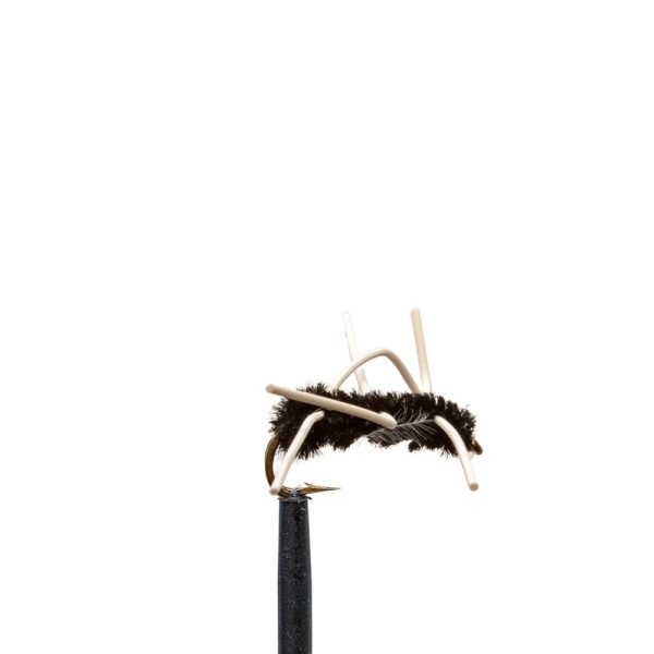 Girdle Bug