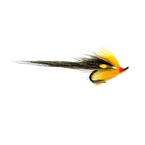 GLEDSWOOD STOAT – DOUBLE