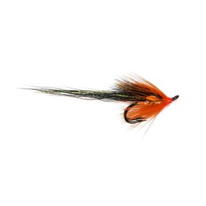 GLEDSWOOD STOAT (ORANGE)- DOUBLE