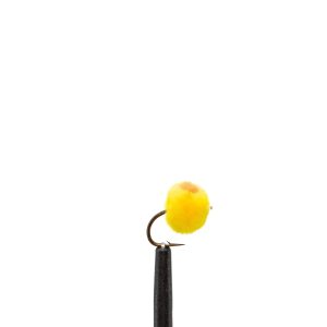 Glo Bug – Egg