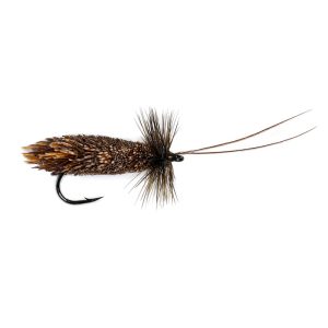 GODDARD SEDGE – CHOCOLATE