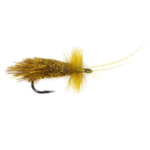 GODDARD SEDGE – OLIVE