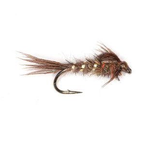 GOLD RIBBED HARE’S EAR