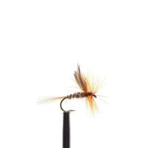 Gold Ribbed Hare’s Ear Dry