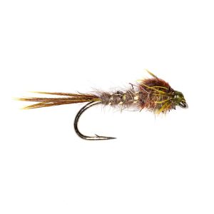 GOLD RIBBED HARE’S EAR – OLIVE