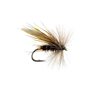 GRANNOM SEDGE