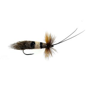 GREAT RED SEDGE – BROWN