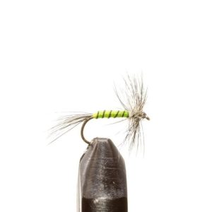 Green Body Mosquito