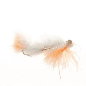 Grey Flesh Strip Leech
