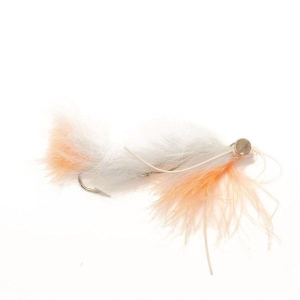 Grey Flesh Strip Leech