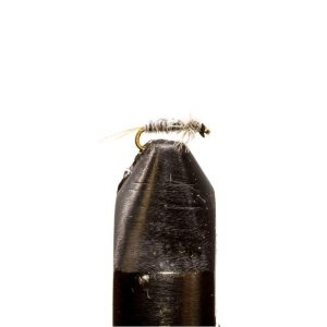 Grey Midge