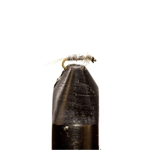 Grey Midge