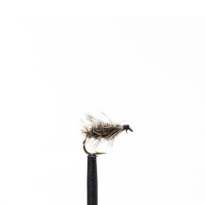Griffiths Gnat