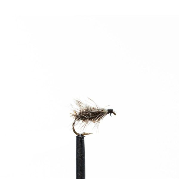 Griffiths Gnat