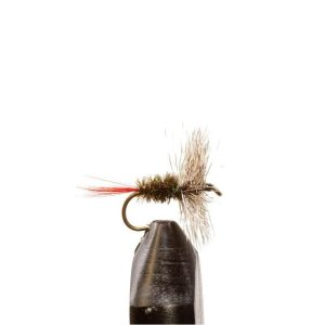 Grizzly Hackle Peacock