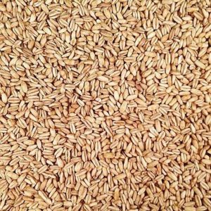 Groats (Dry)