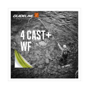 Guideline 4 Cast+ WF
