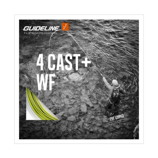 Guideline 4 Cast+ WF