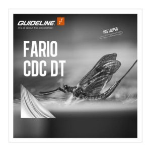 Guideline Fario CDC DT