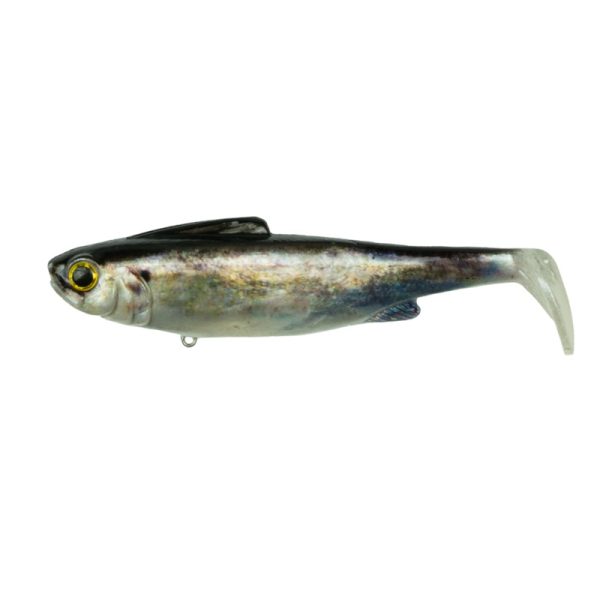 Hangover – Live Shad