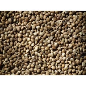 Hemp ** Free Delivery **