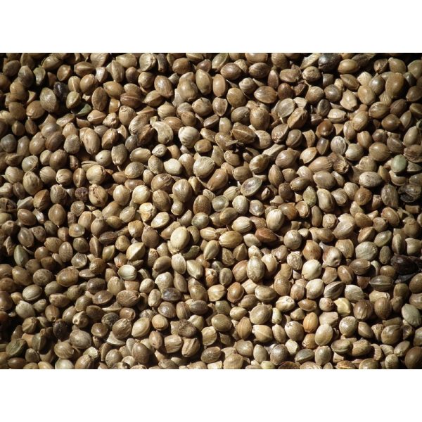 Hemp Seed (Dry)