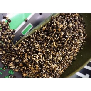 Hemp & Snails