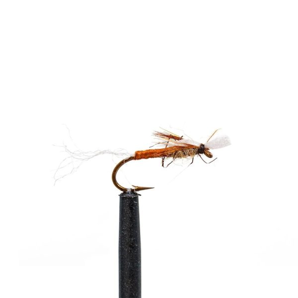 Henderson’s Master Baetis  Brown