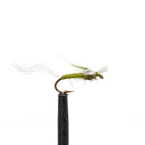 Henderson’s Master Baetis  Olive