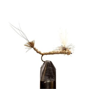 Hexagenia Parachute