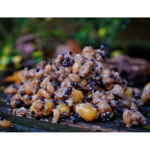 Impact Mix 1 per kilo sale