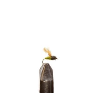 Insect Green Emerger