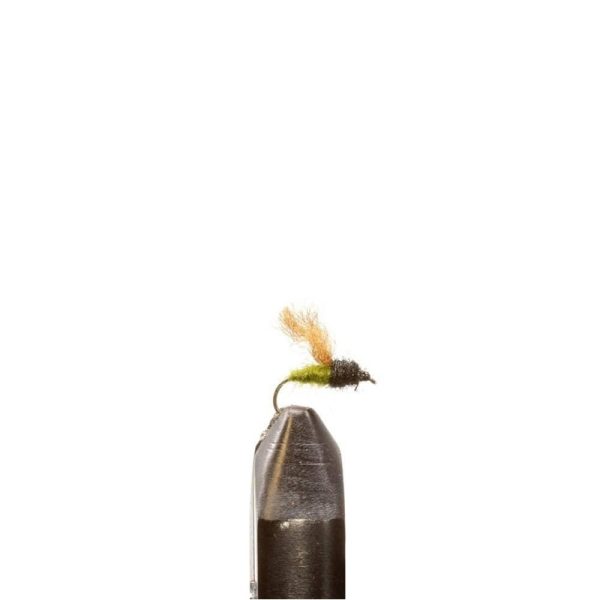 Insect Green Emerger
