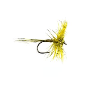 JINGLER – LIGHT OLIVE