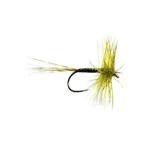 JINGLER – MEDIUM OLIVE