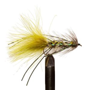 JJ Special  Olive/Black