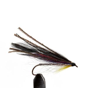 Kennebago Smelt