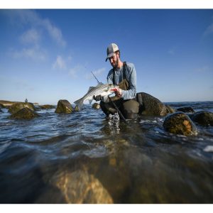 LEGEND SURF SPINNING RODS