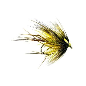 LEGGY PICRIC OLIVE